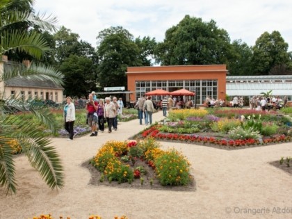 Photo: Orangerie Altdöbern